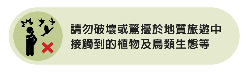 請勿破壞或驚擾於地質旅遊中接觸到的植物及鳥類生態等